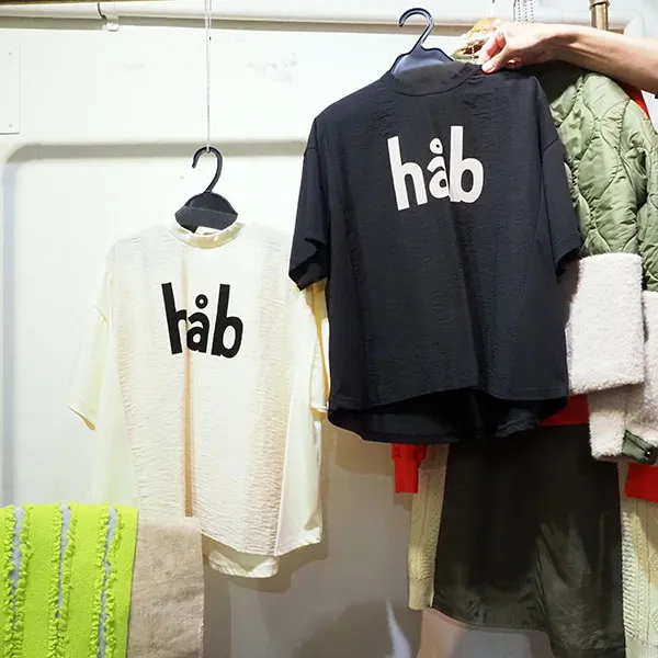 入荷予定ブランバスク