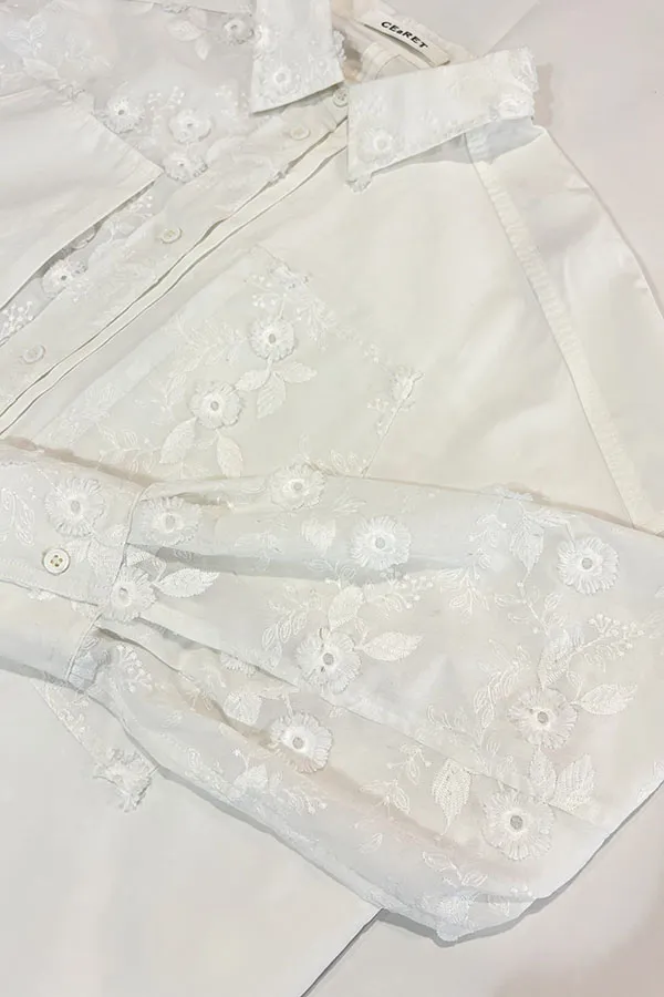 入荷予定アラアラ