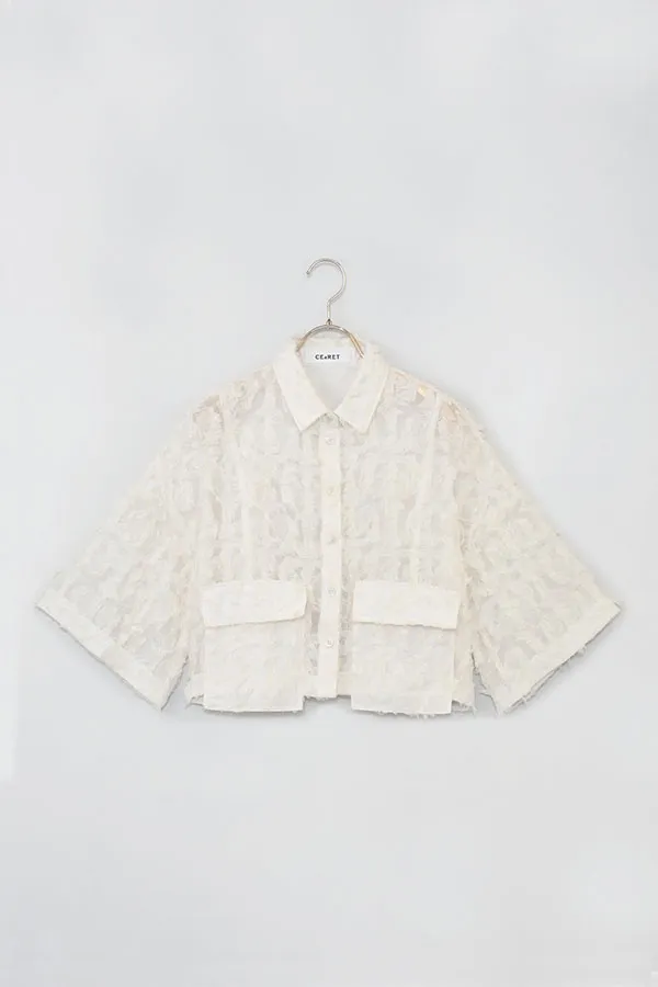 入荷予定アラアラ