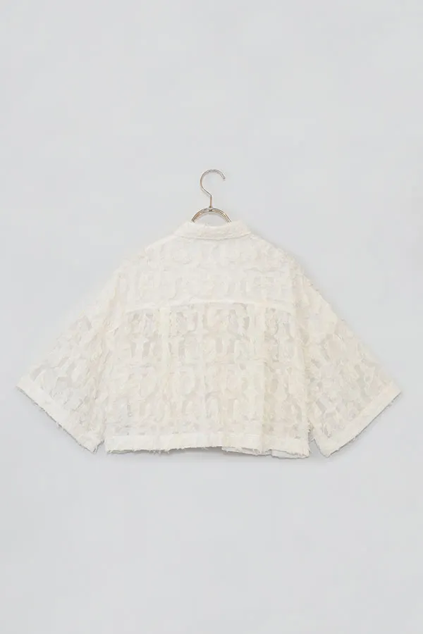 入荷予定アラアラ