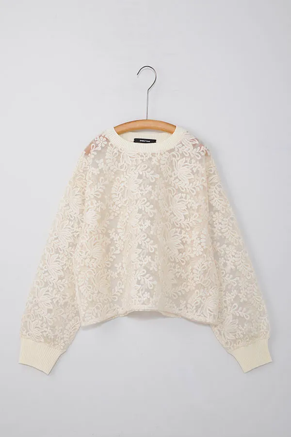 入荷予定シワリーフルイド