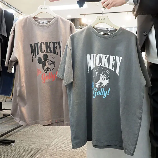 入荷予定コエル