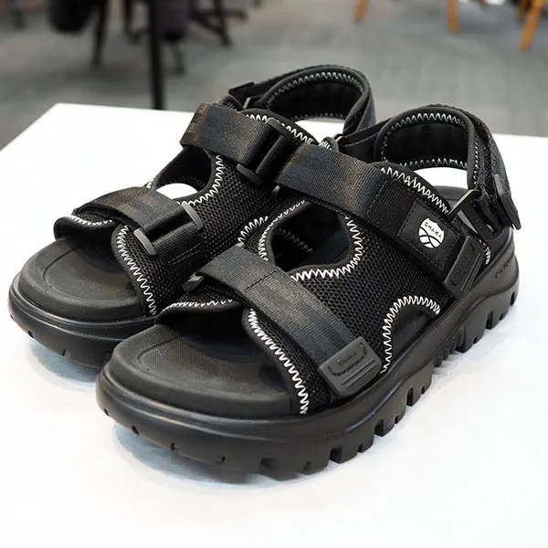 入荷予定コエル