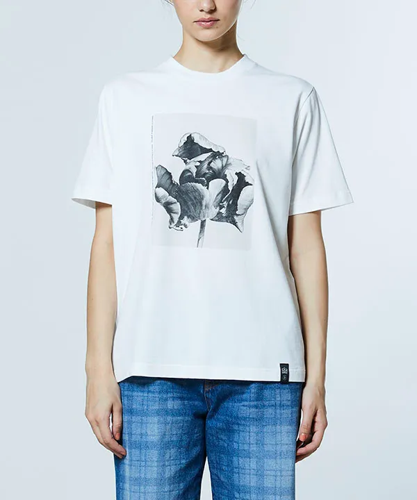 入荷予定ダブルスタンダードクロージング