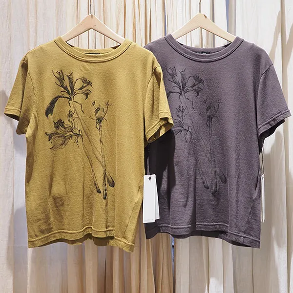 入荷予定パドカレ